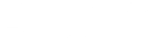 Drees & Sommer SE Logo